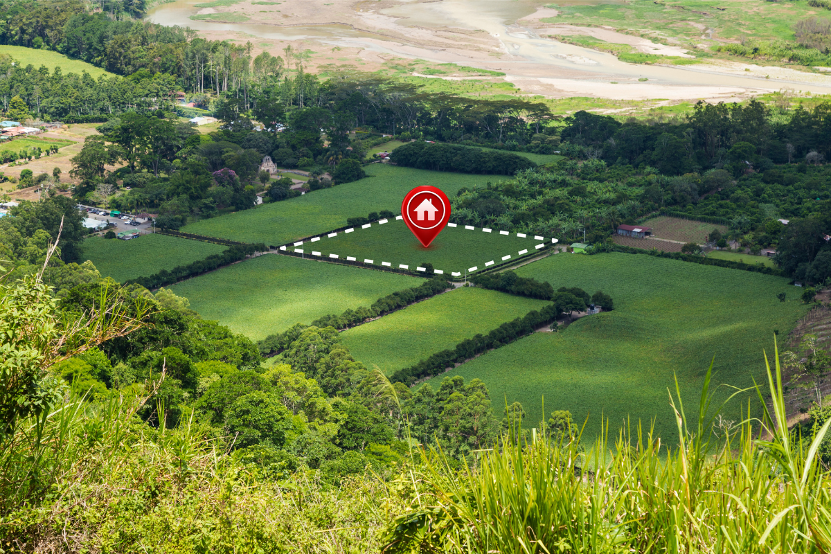 land and plot vestawisse consultant
